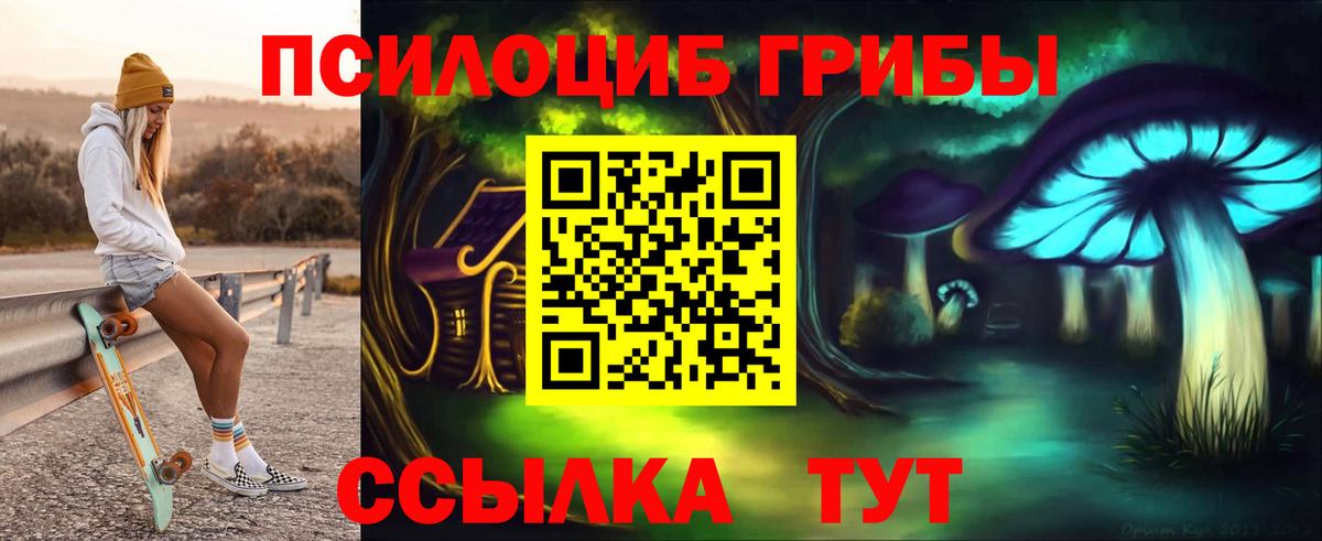 Псилоцибиновые грибы Cubensis  Вход с VPN  купить наркотик  Нижнекамск  Псилоцибиновые грибы Psilocybine cubensis 